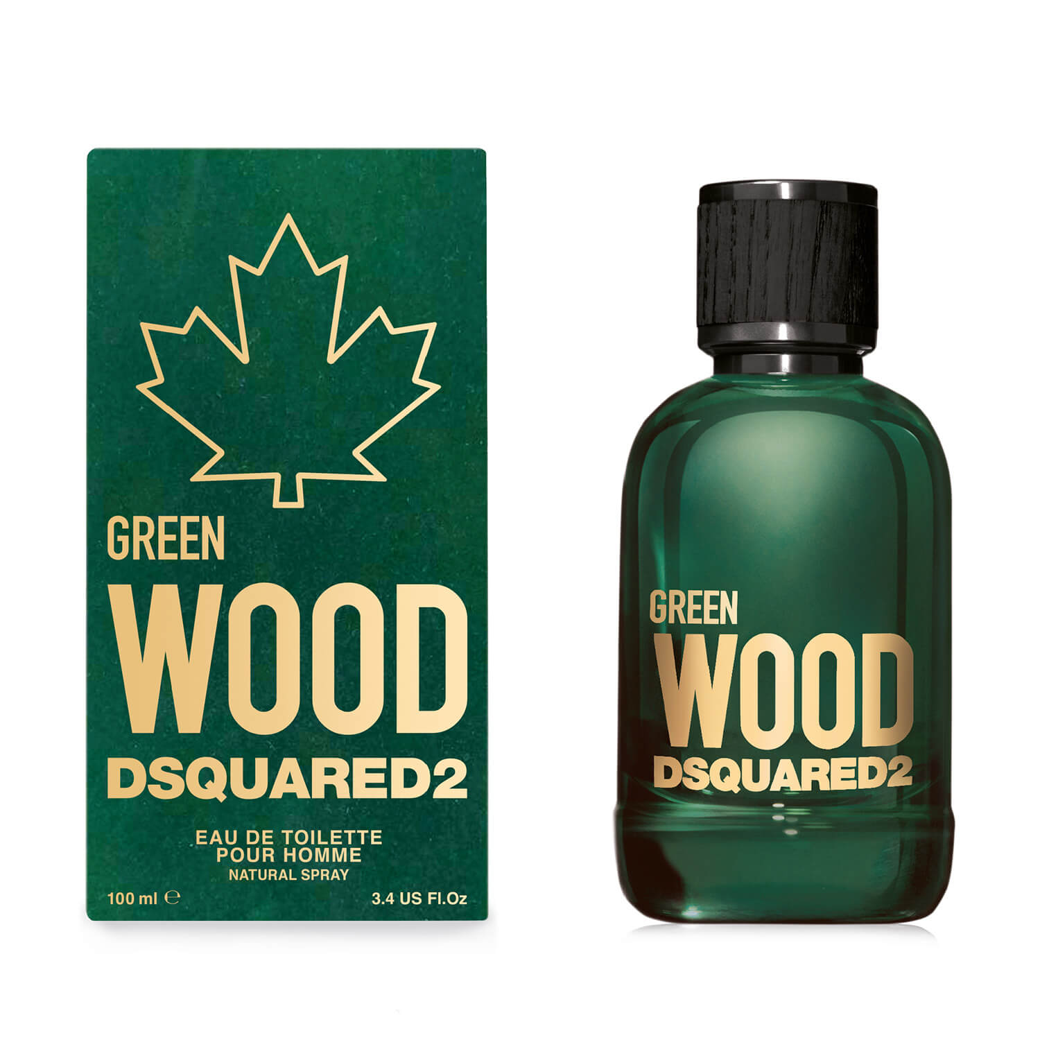 Green Wood Dsquared2 Eau de Toilette Pour Homme 100 ML