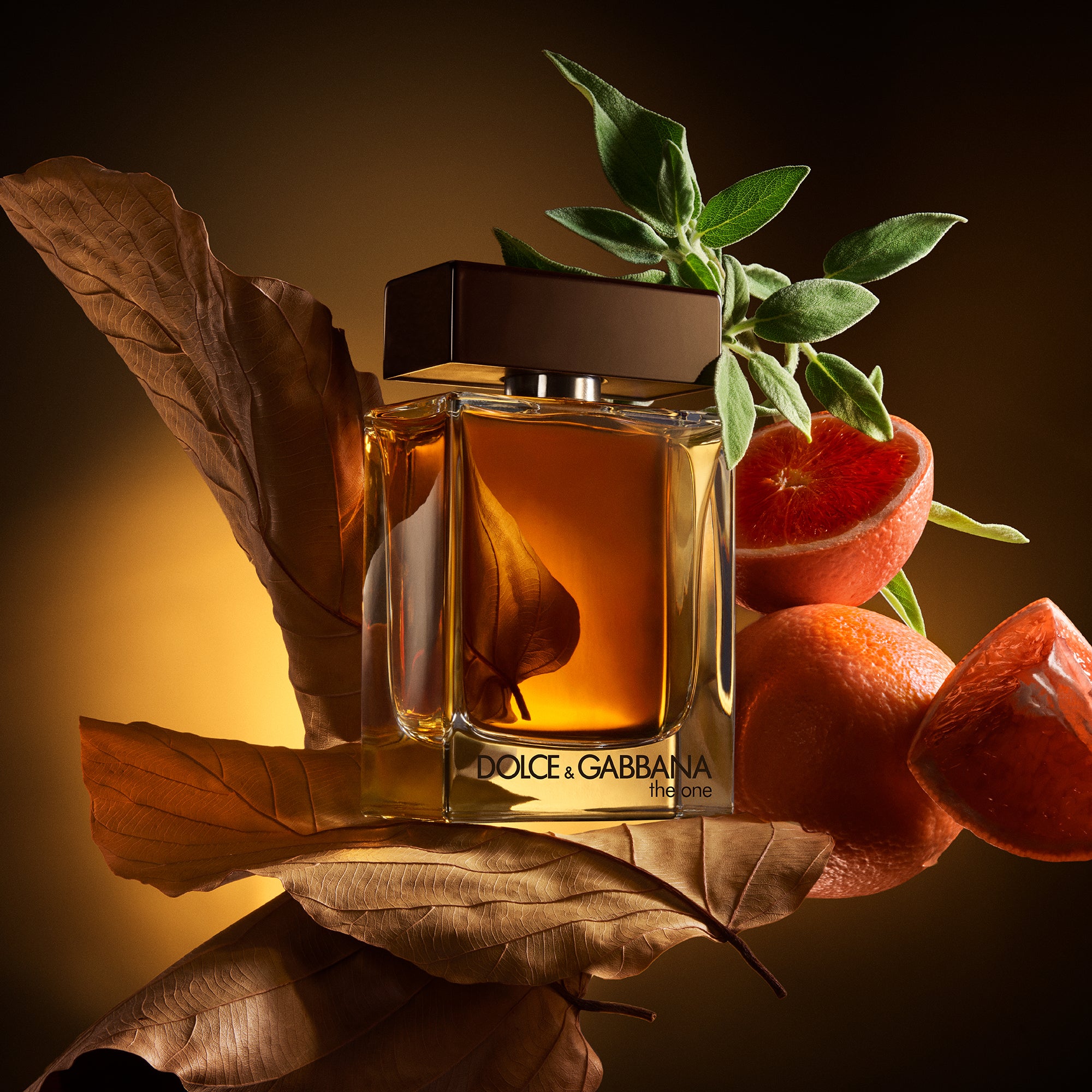 Dolce & Gabbana The One For Men Eau De Parfum For Men