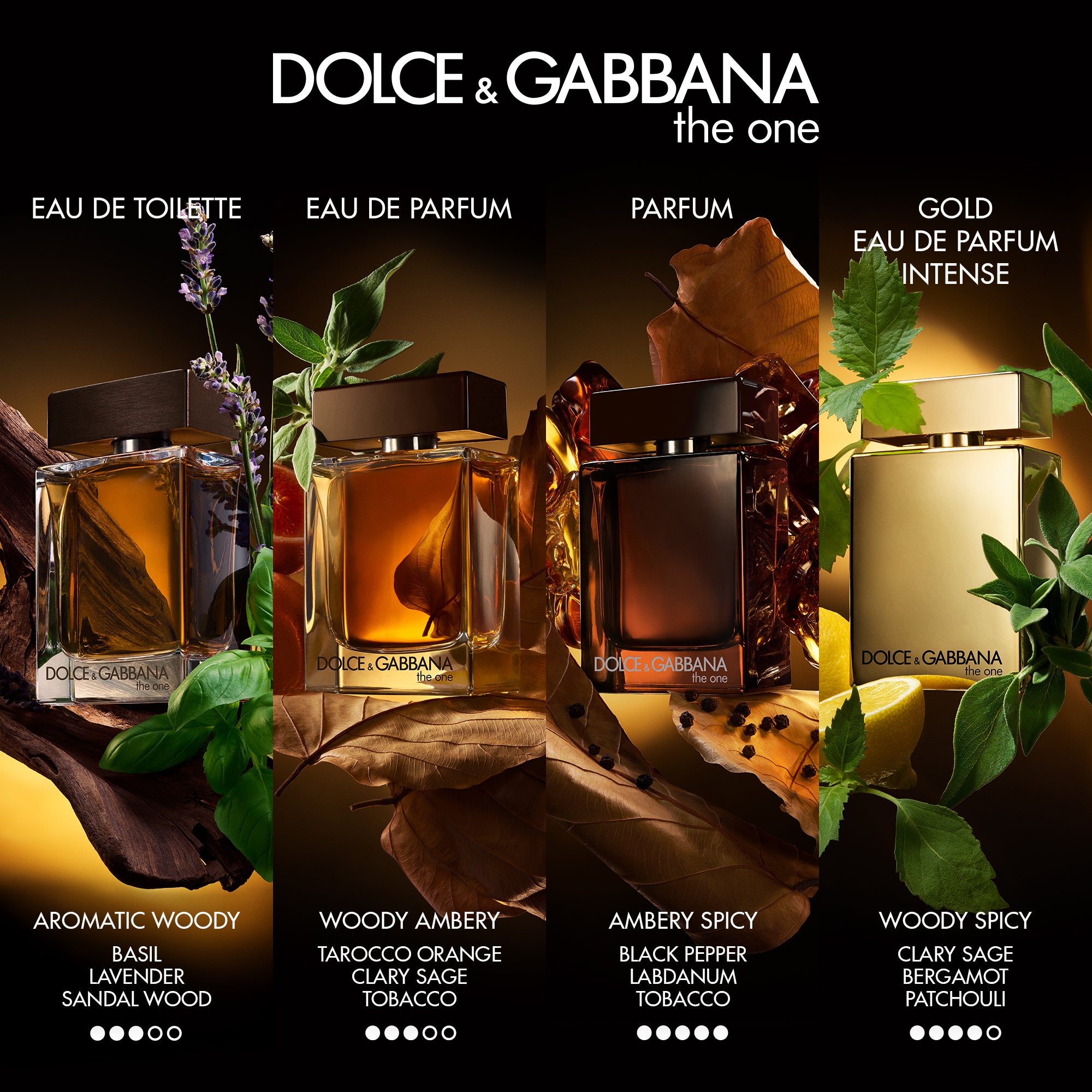 Dolce & Gabbana The One For Men Eau De Parfum For Men