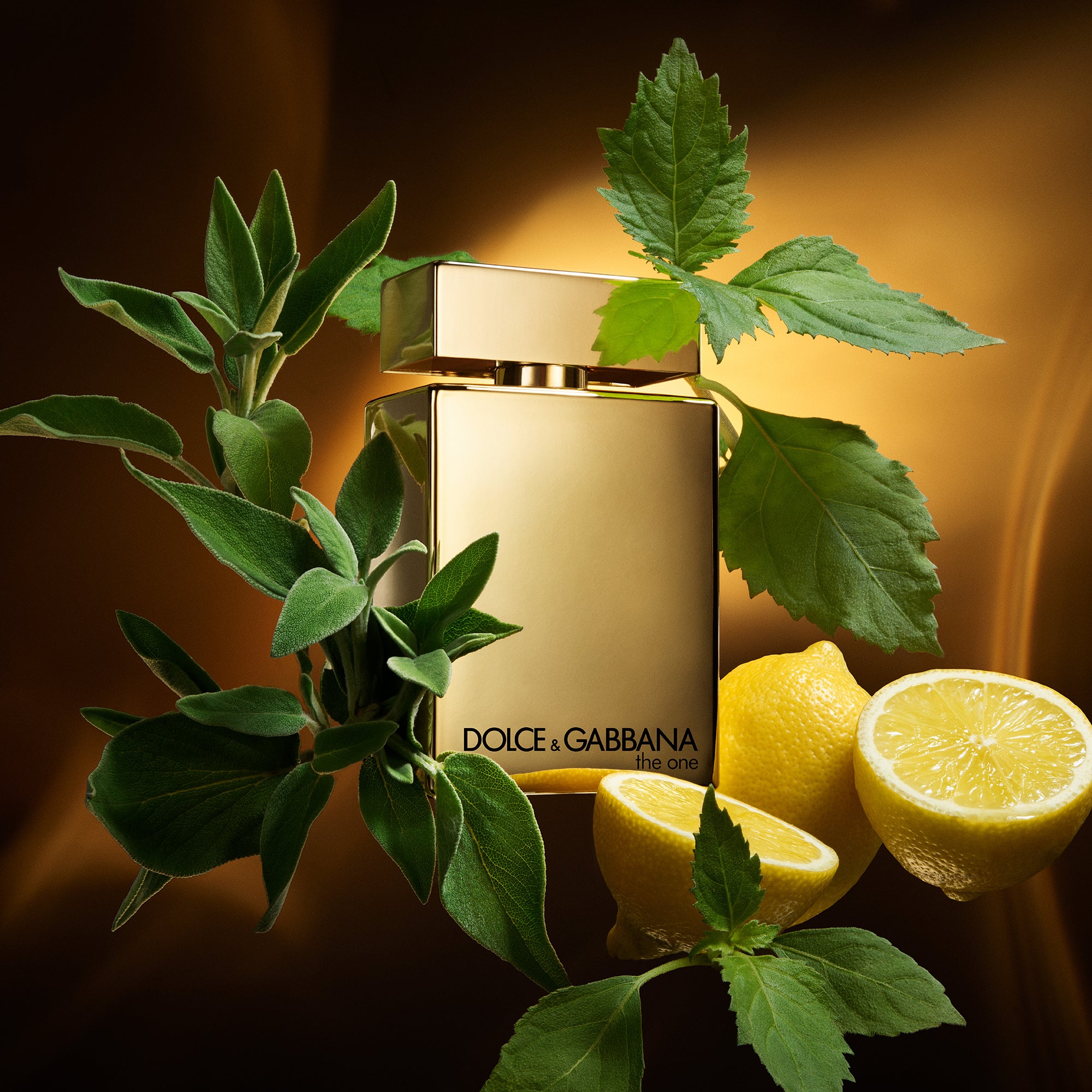 Dolce & Gabbana The One Pour Homme Gold Eau de Parfum Intense