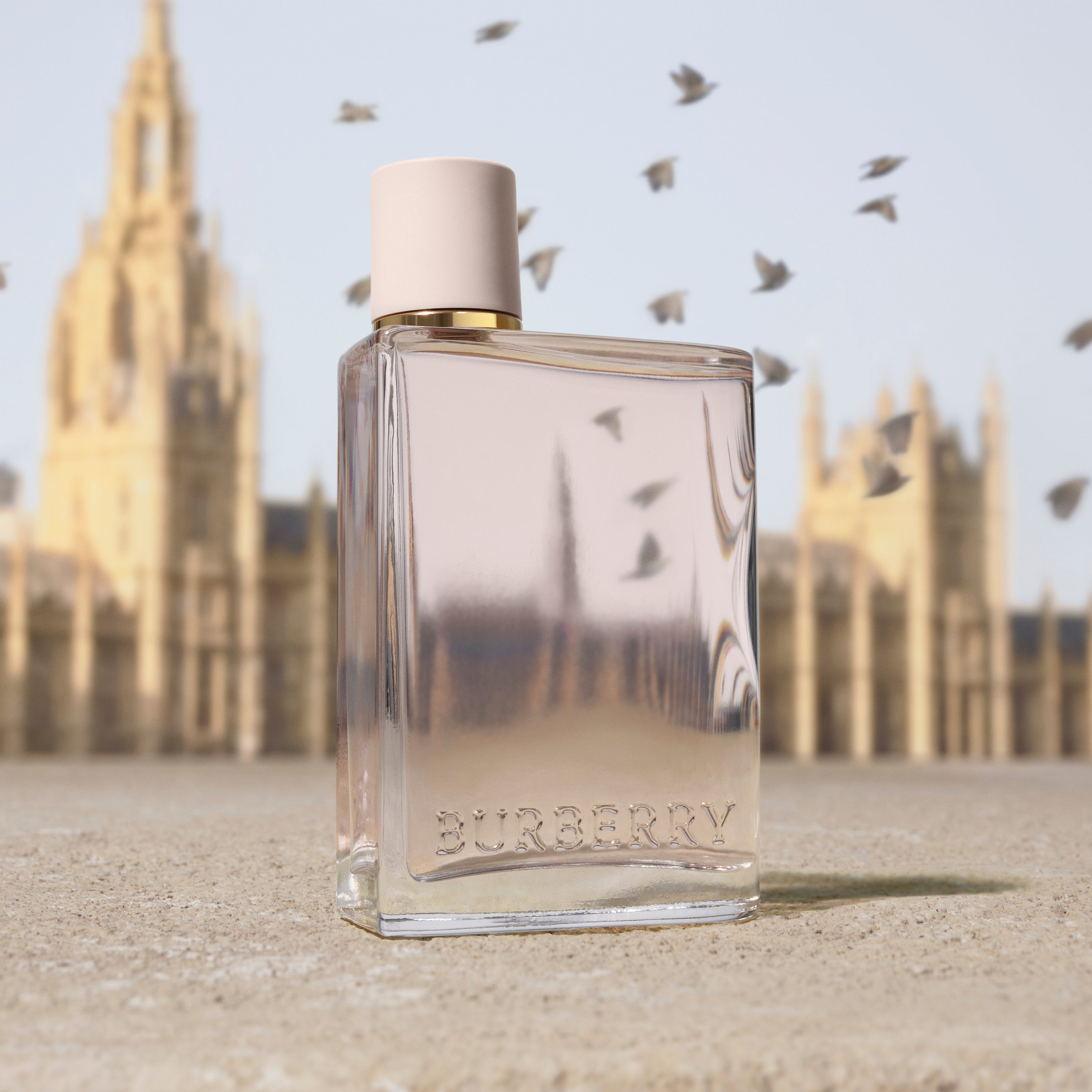 Burberry Her Eau De Parfum 100ml