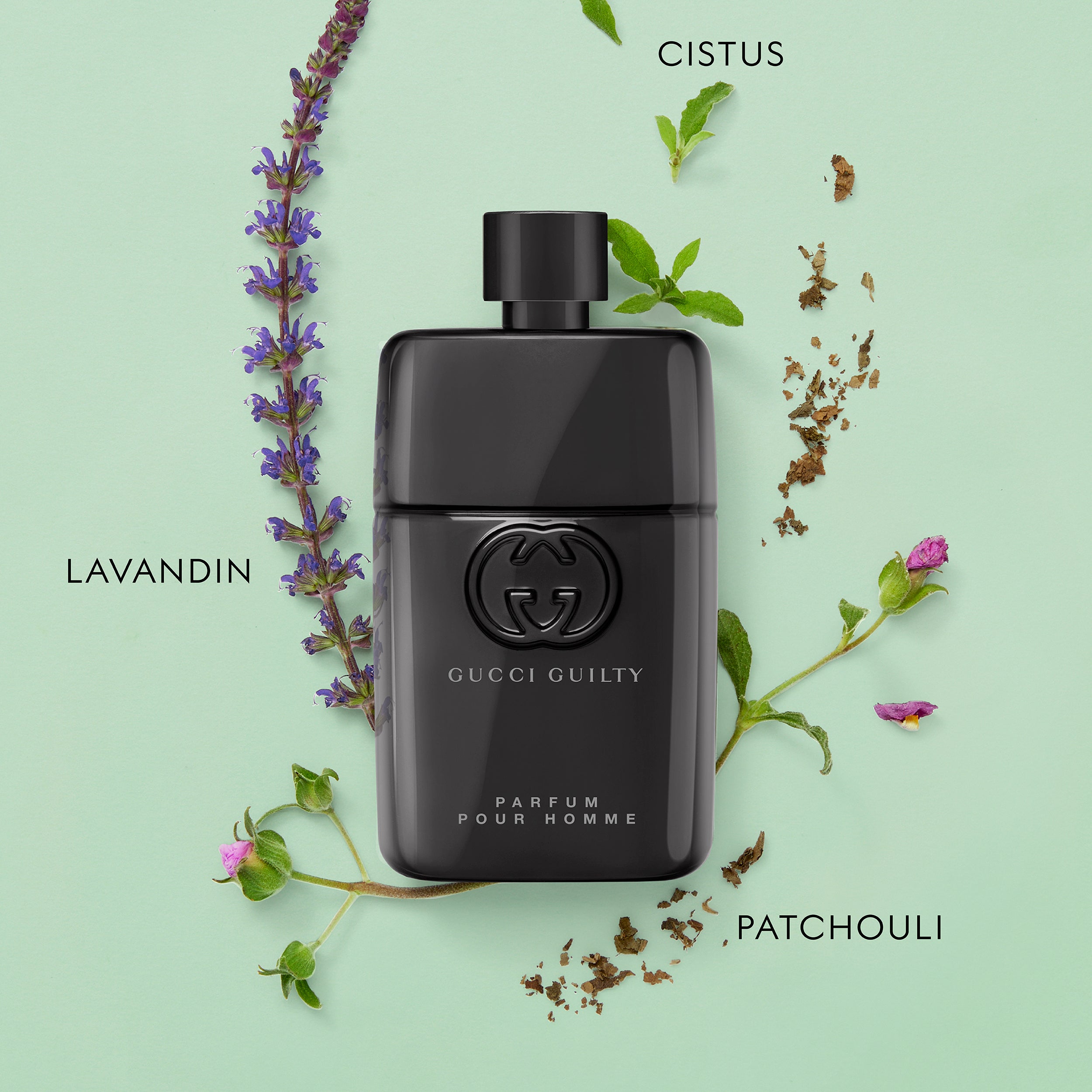 Gucci Guilty Pour Homme Parfum