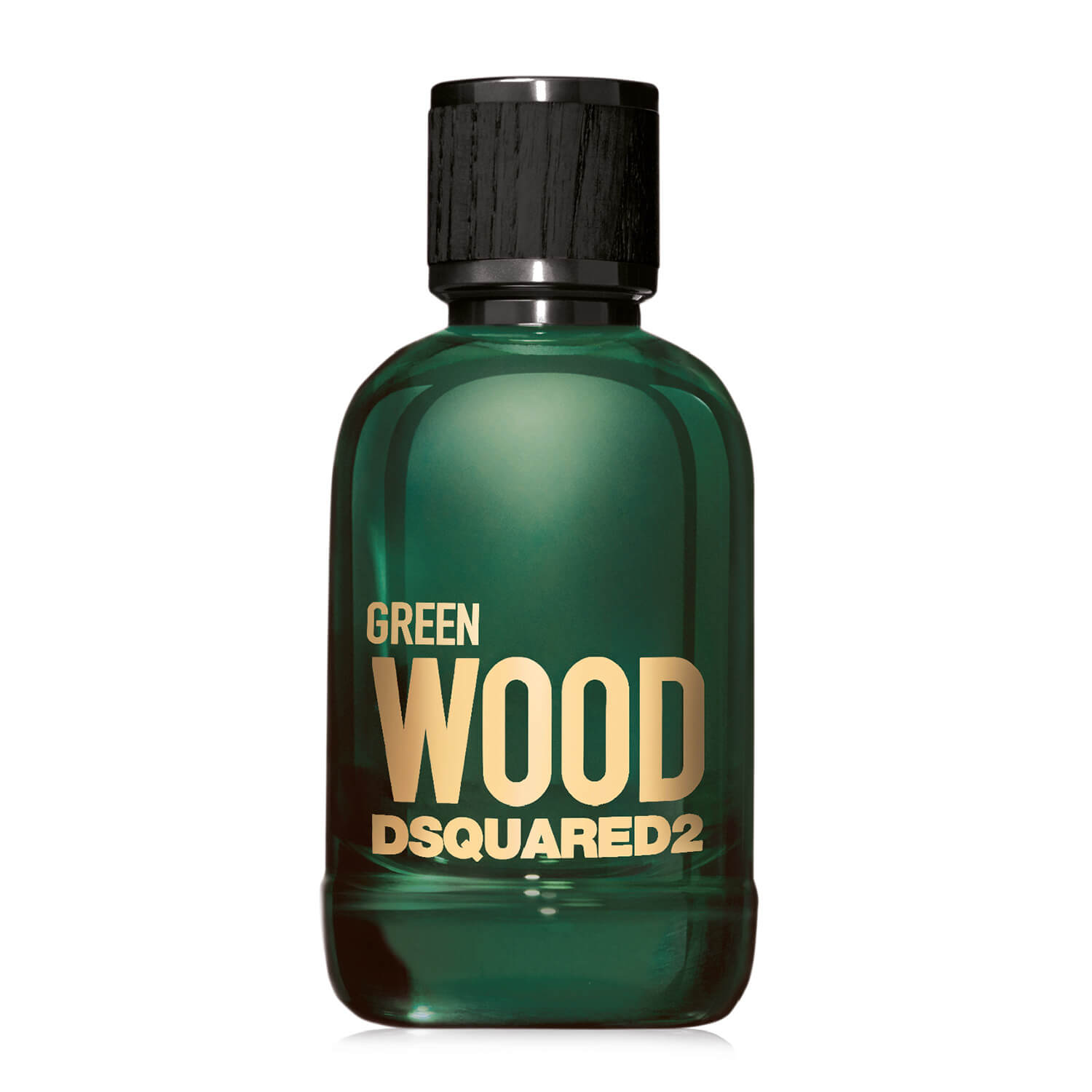 Green Wood Dsquared2 Eau de Toilette Pour Homme 100 ML
